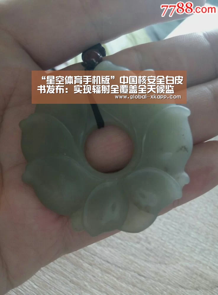 “星空体育手机版”中国核安全白皮书发布:实现辐射全覆盖全天候监控(图3) 星空体育官网下载