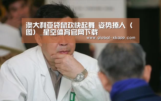澳大利亚袋鼠欢快起舞 姿势撩人(图)_星空体育官网下载(图1) 星空体育下载