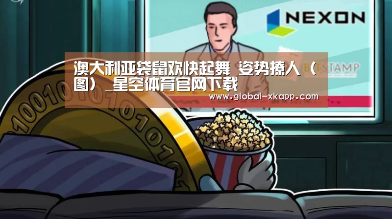 澳大利亚袋鼠欢快起舞 姿势撩人(图)_星空体育官网下载(图3) 星空体育官网下载