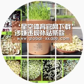 星空体育下载