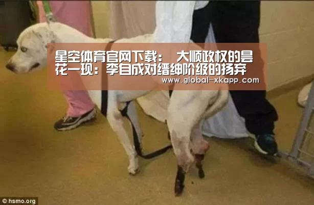 星空体育官网下载:
大顺政权的昙花一现:李自成对缙绅阶级的扬弃 军事战略部署失当(图2) 星空体育下载