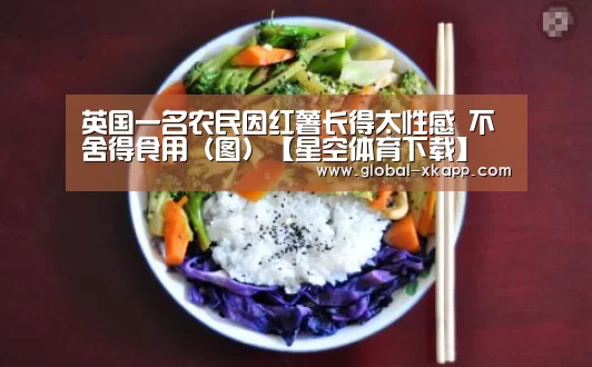 星空体育下载