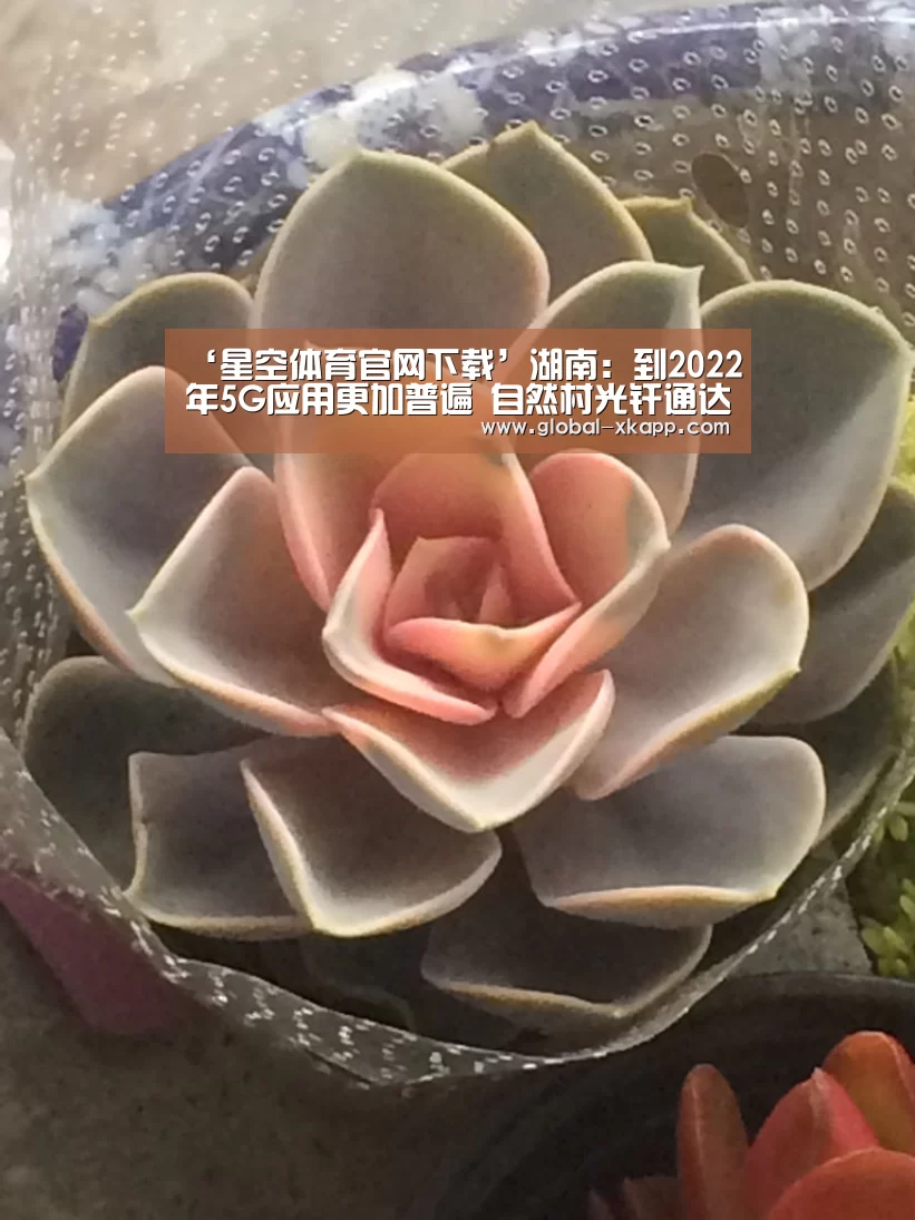 星空体育下载